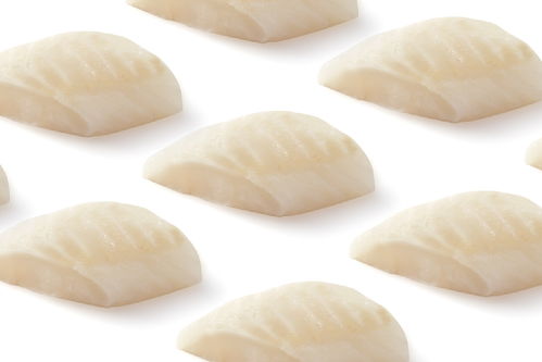 寵物產(chǎn)品攝影 貓糧攝影 光合魔方主食包 奇思繆想