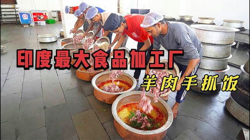 印度最大的食品加工廠,流水線操作日產(chǎn)千斤,當(dāng)?shù)刈ワ堉械奶旎ò? />
</span>
<span id=